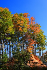 广州恒大力克对手，步入下一轮激烈争斗