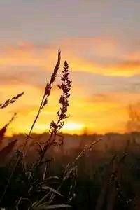 国际女子足球赛事：中国队奋勇争先