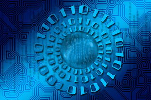 db真人视讯-大数据应用助力训练科学管理，大数据在训练管理中的应用